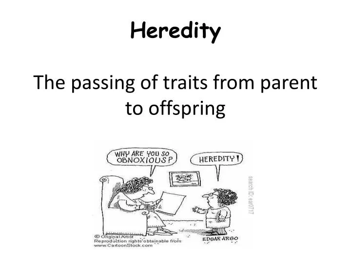 heredity the passing of traits from parent to offspring
