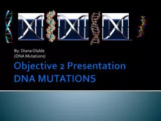 Objective 2 Presentation DNA MUTATIONS