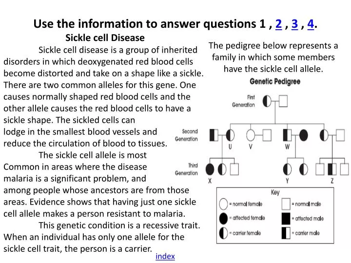 use the information to answer questions 1 2 3 4