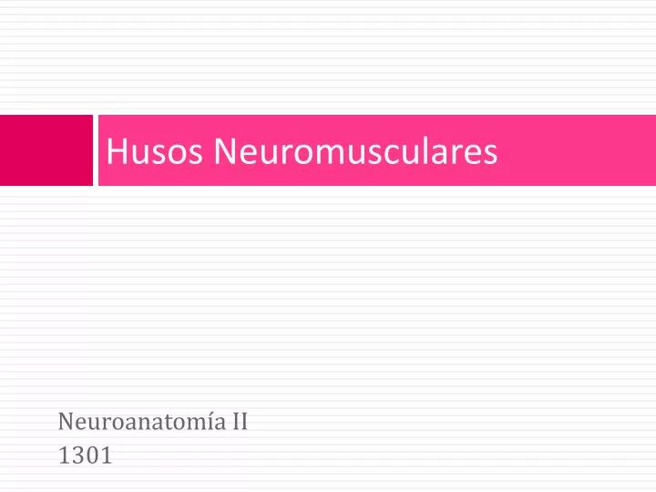 husos neuromusculares