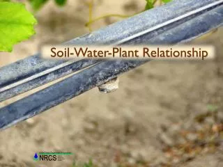 Soil-Water-Plant Relationship