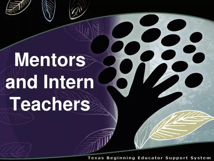 mentors and intern teachers