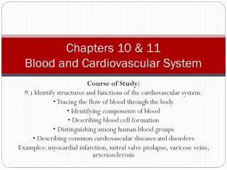 Chapters 10 &amp; 11 Blood and Cardiovascular System