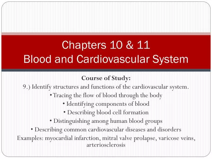 chapters 10 11 blood and cardiovascular system