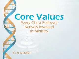 Every Christ Follower Actively Involved in Ministry