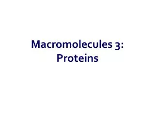 Macromolecules 3: Proteins