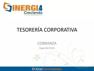 tesorer a corporativa