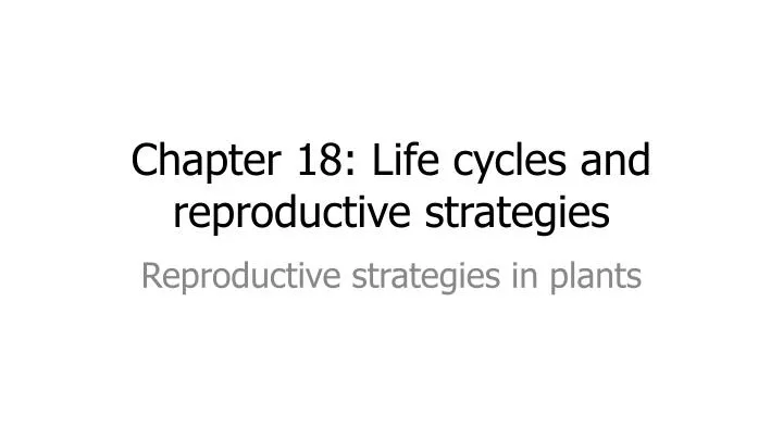 chapter 18 life cycles and reproductive strategies