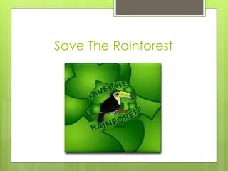 Save The Rainforest