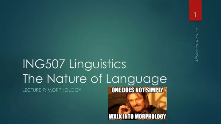 ing507 linguistics the nature of language