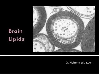 Brain Lipids