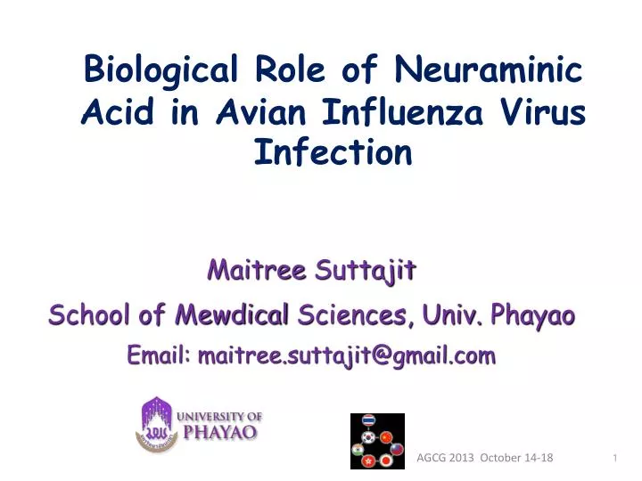 biological role of neuraminic acid in avian influenza virus infection
