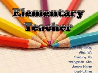 Elementary Teacher