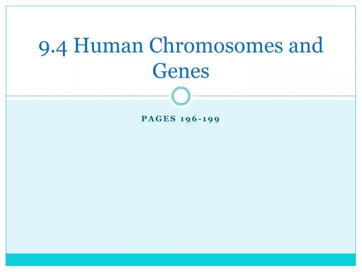 9 4 human chromosomes and genes
