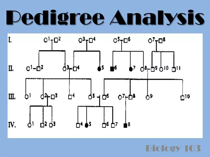 pedigree analysis