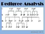 Pedigree Analysis - slide 1