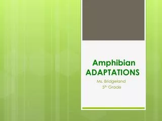 Amphibian ADAPTATIONS