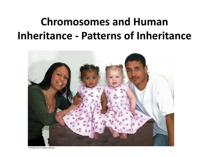 chromosomes and human inheritance patterns of inheritance