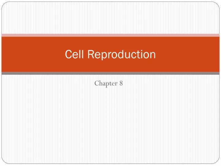 cell reproduction