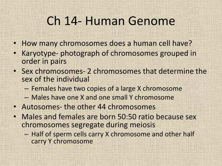 ch 14 human genome
