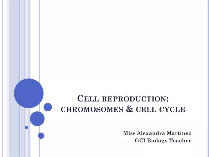 cell reproduction chromosomes cell cycle