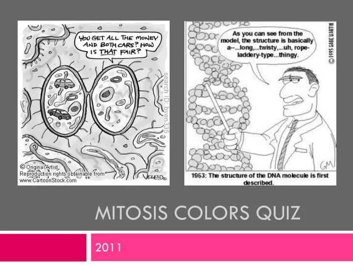 mitosis colors quiz