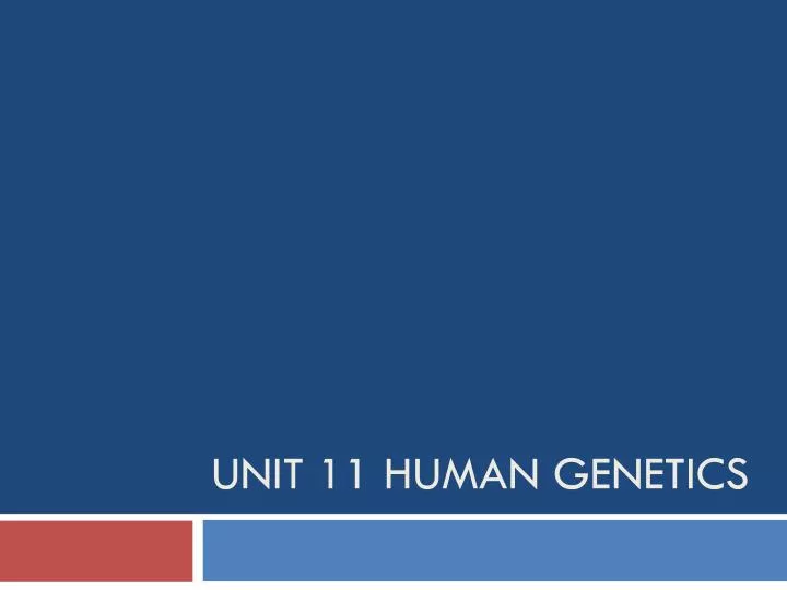 unit 11 human genetics