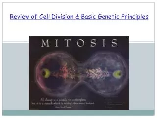 Review of Cell Division &amp; Basic Genetic Principles
