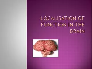 Localisation of function in the Brain