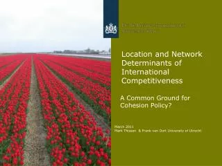 Location and Network Determinants of International Competitiveness