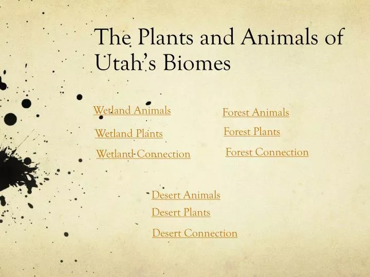 the plants and animals of utah s biomes