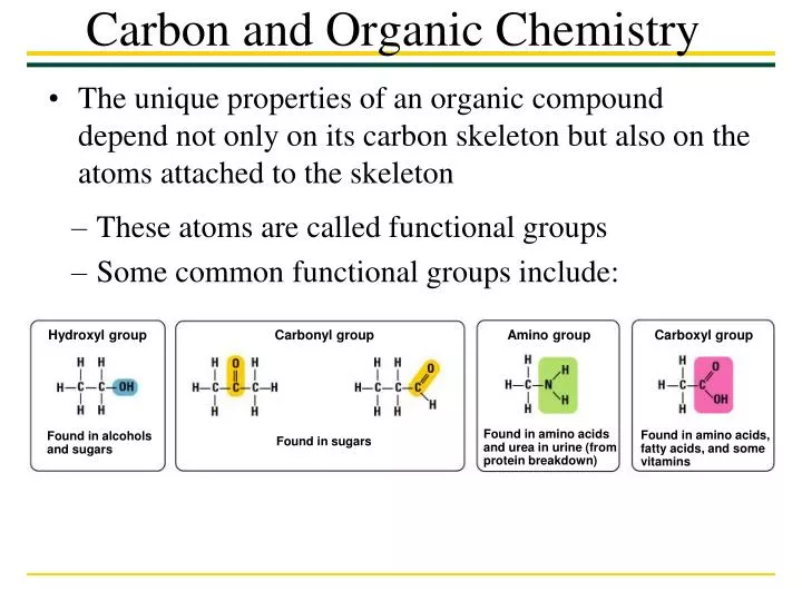 carbon and organic chemistry