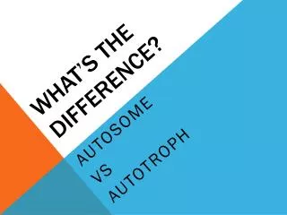 what s the difference