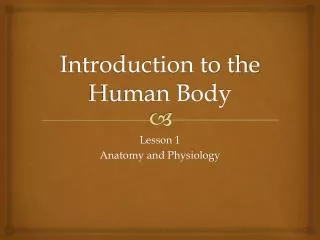 Introduction to the Human Body