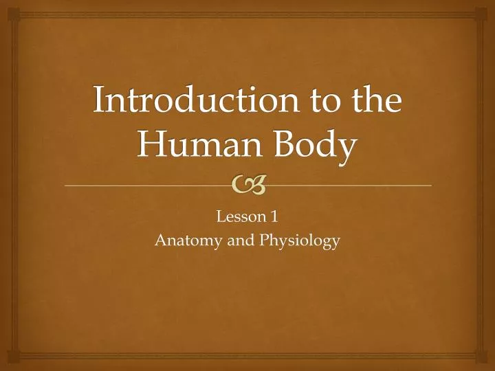 introduction to the human body