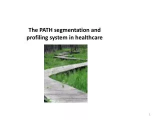 The PATH segmentation and profiling system in healthcare