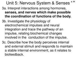 Unit 5: Nervous System &amp; Senses