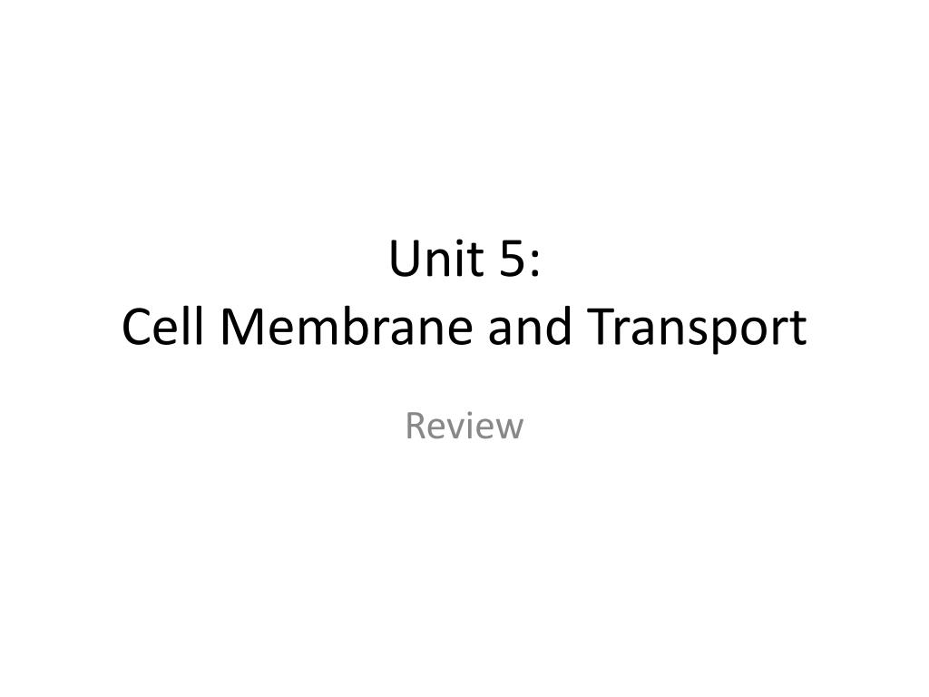 PPT - Unit 5: Cell Membrane and Transport PowerPoint Presentation, free ...