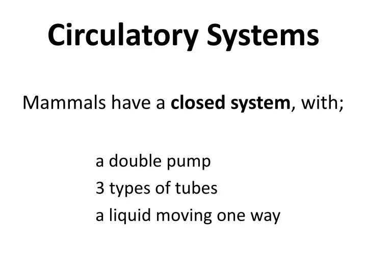 circulatory systems