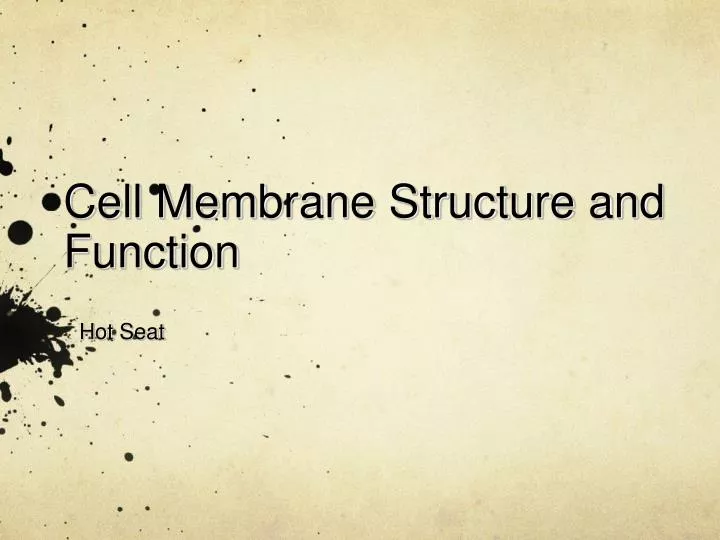 cell membrane structure and function