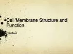 PPT - Cell Membrane Structure and Function PowerPoint Presentation ...