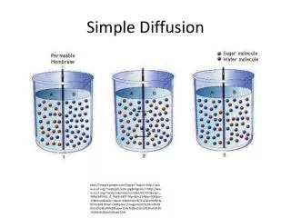 Simple Diffusion