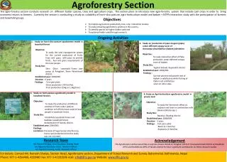 Agroforestry Section