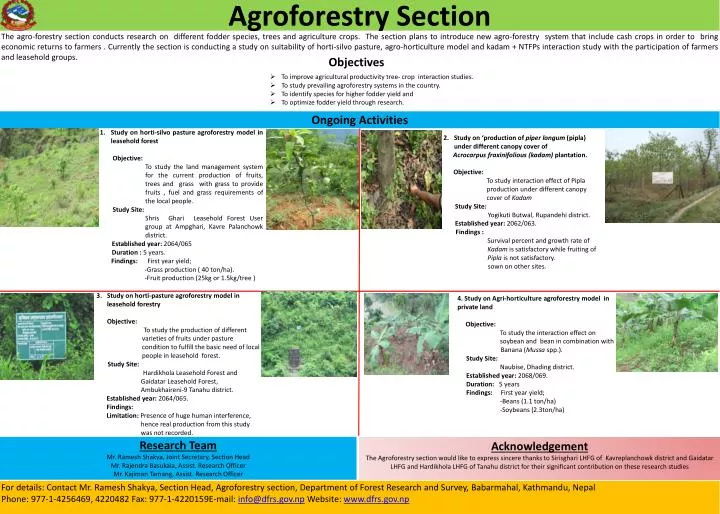 agroforestry section