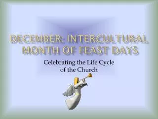 December: Intercultural Month of Feast days