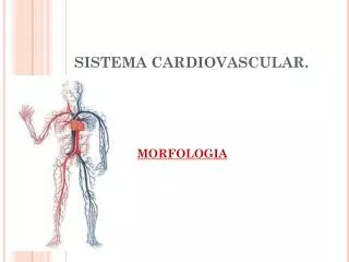 sistema cardiovascular