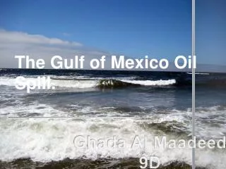 The Gulf of Mexico Oil Spill.