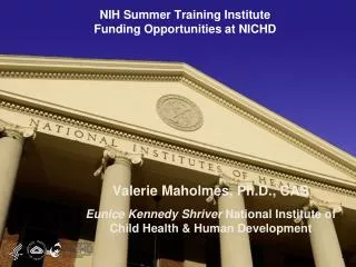 NIH Summer Training Institute Funding Opportunities at NICHD