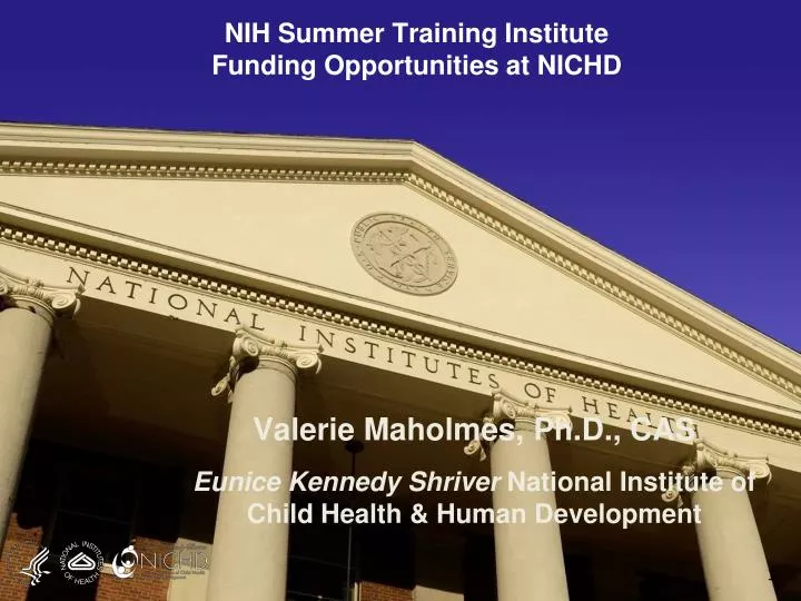 nih summer training institute funding opportunities at nichd