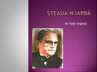 steaua n iarb
